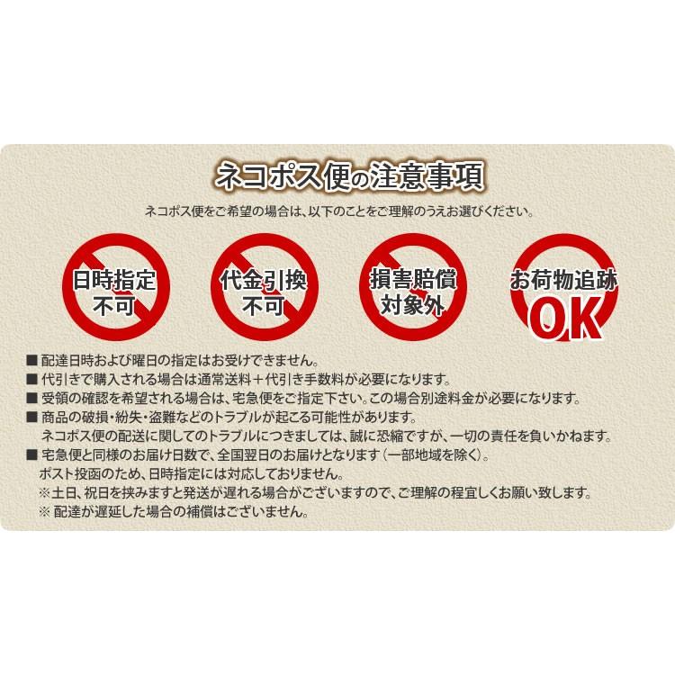 スキージー 《ネコポス便にて送料無料》