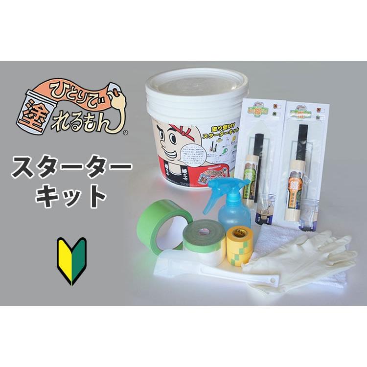 壁紙の上からそのまま塗れる天然塗り壁材「ひとりで塗れるもん スターターキット【お道具セット】